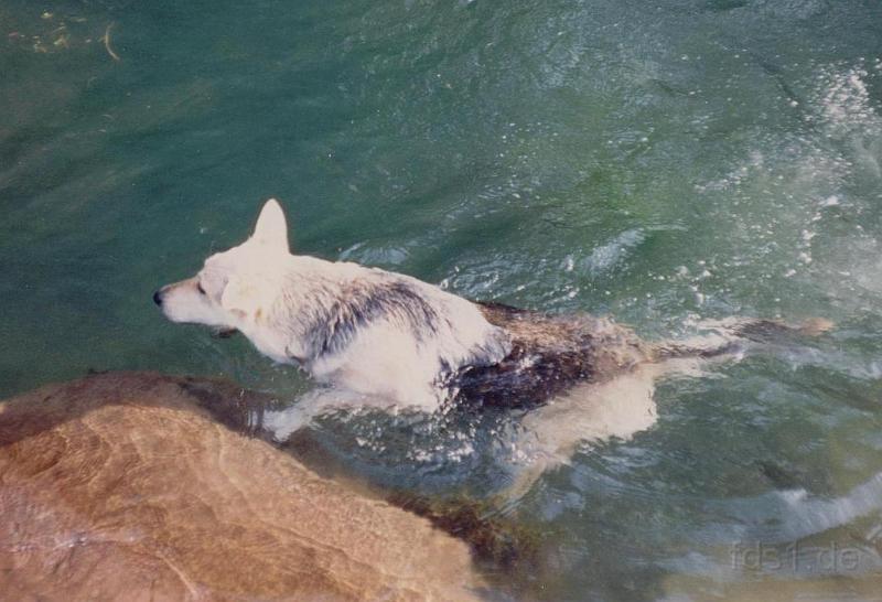 Crocky_0027.jpg