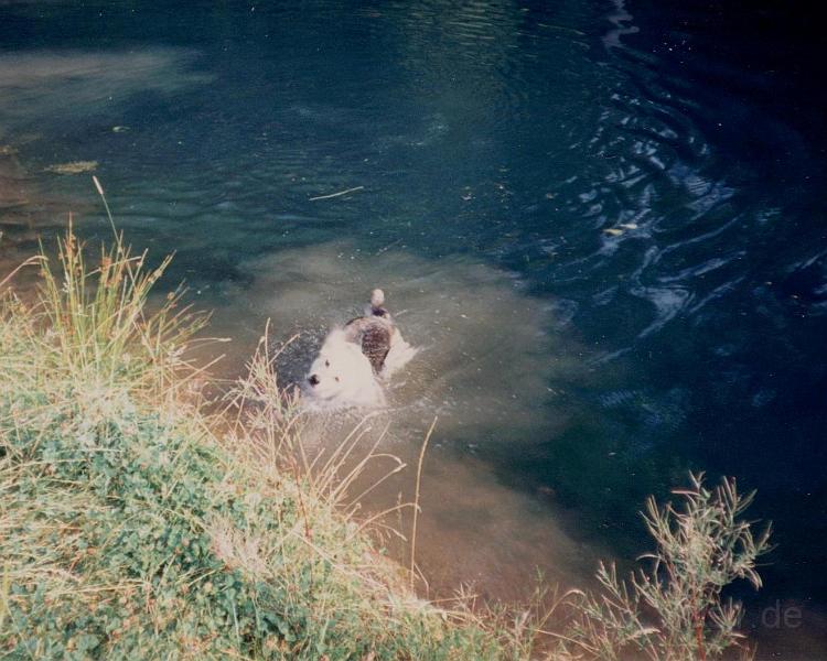 Crocky_0030.jpg