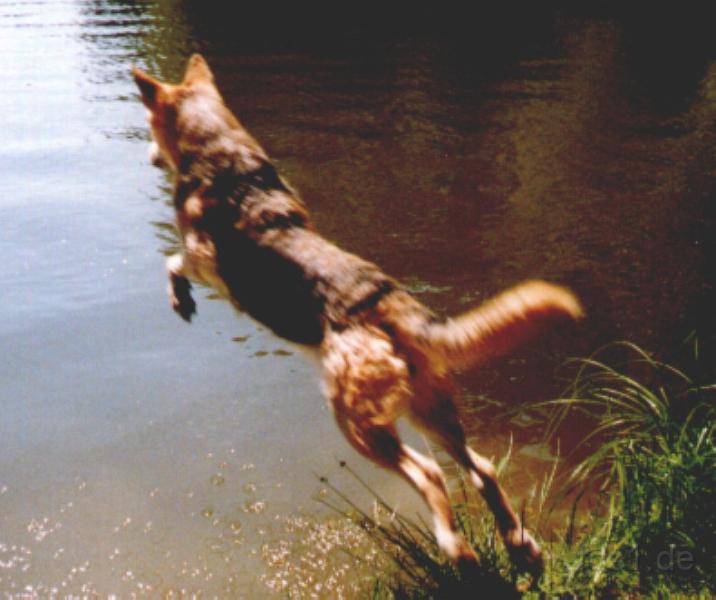 Crocky_0077.jpg