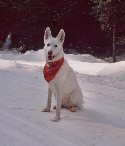 Gipsy_0002.jpg