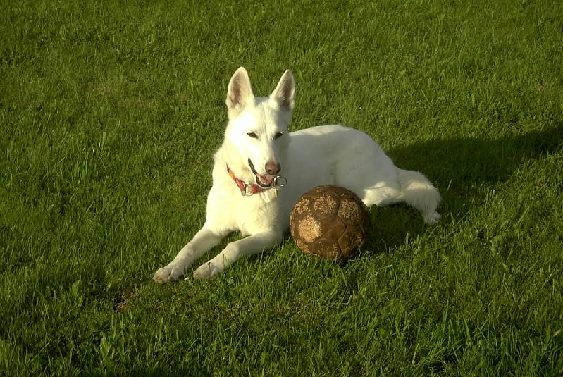 Gipsy_0005.jpg
