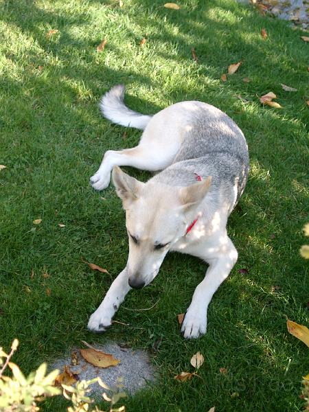 July_0109.JPG