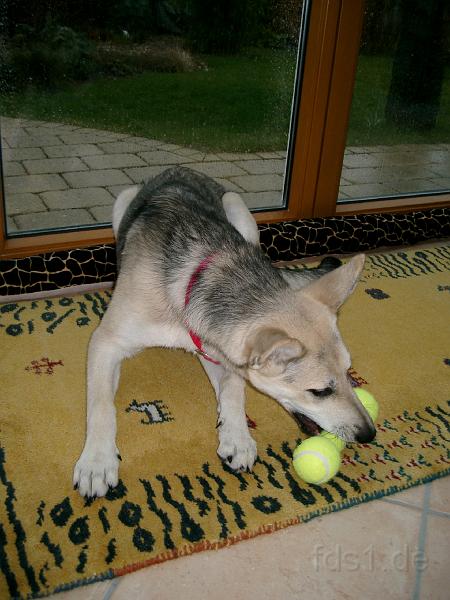 July_0011.JPG