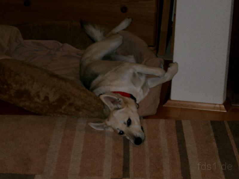 July_0127.JPG