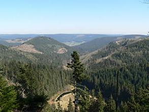 Ellbachseeblick